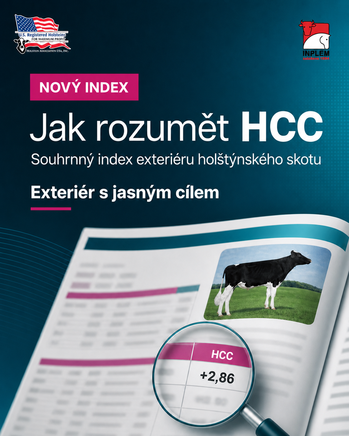 HCC: holštýnka nemusí být co největší ani extrémní