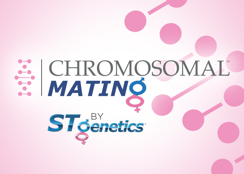 CHOMOSOMAL MATING BY STGEN