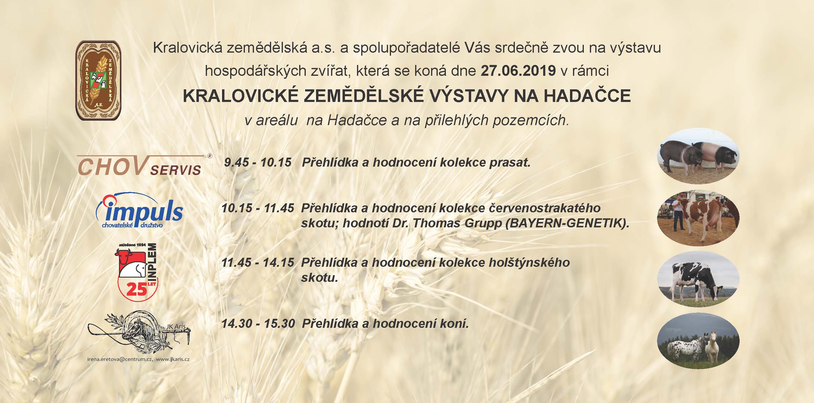 pozvanka kralovice final 2019