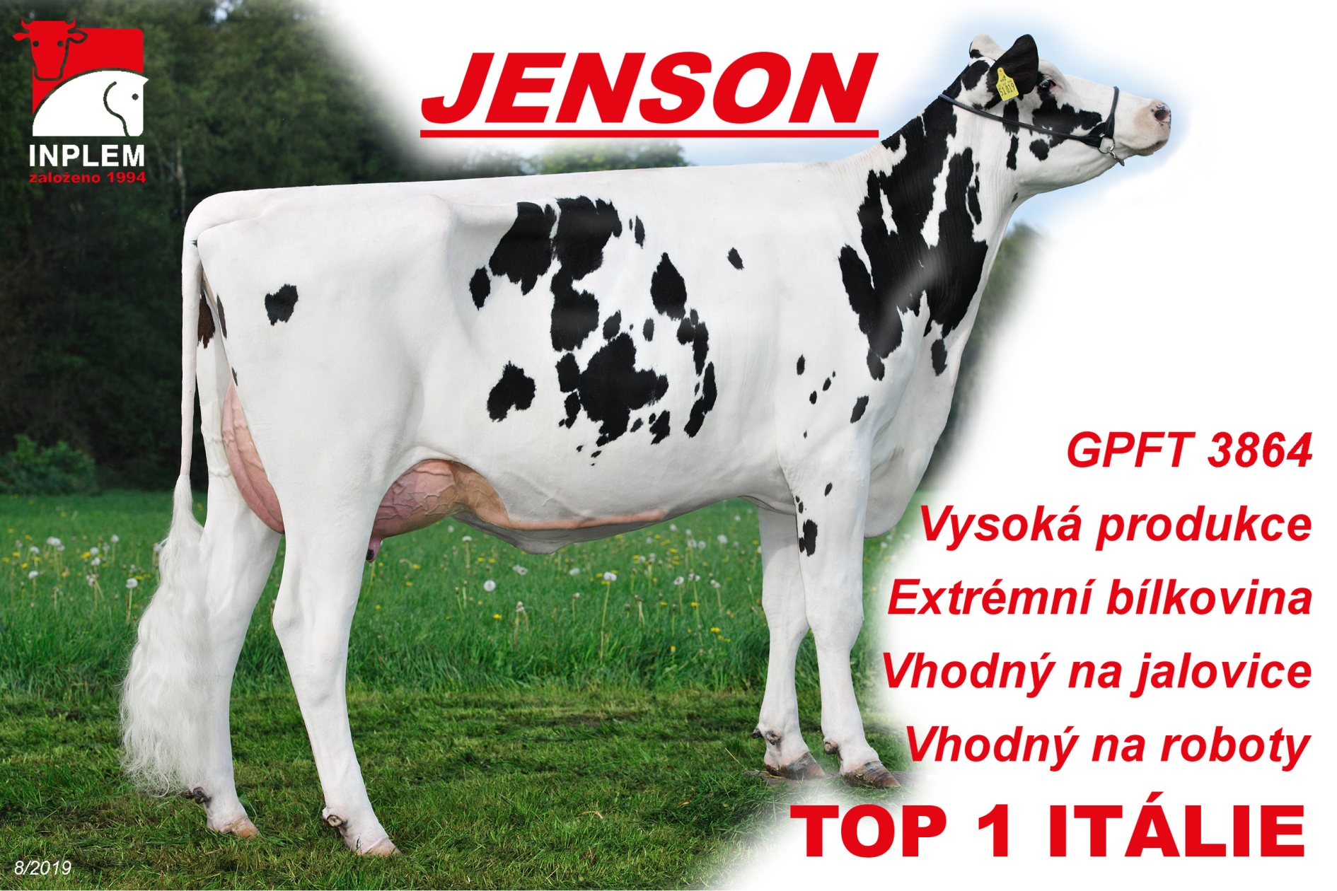 MENSIJENSONDE000355651019WEHJen33VG86 DamofJenson