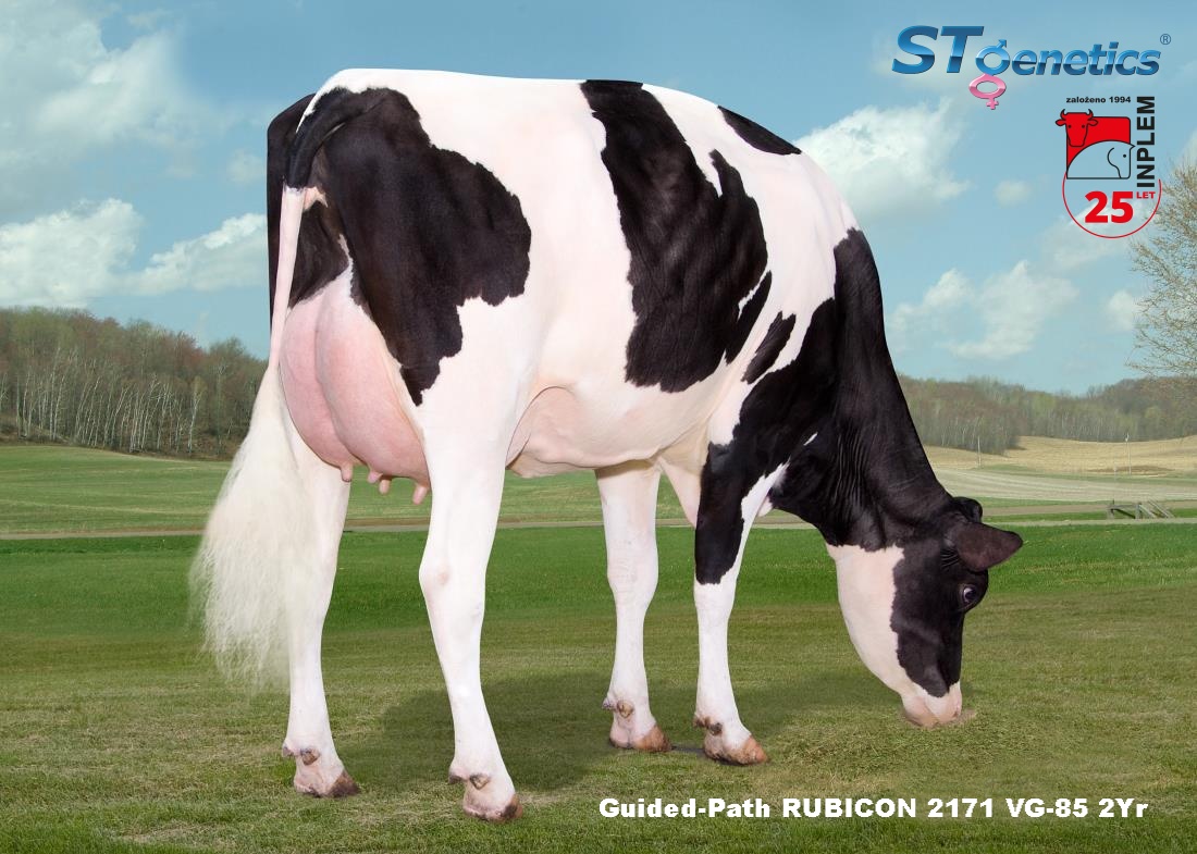 rubicon daughter Guided Path RUBICON 2171 VG 85 2Yr