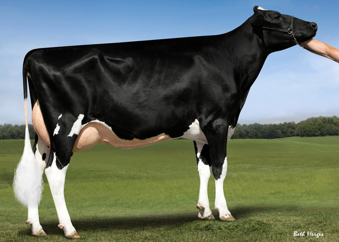 USA 4 2021 Genosource Sabre 35223 ET VG 85