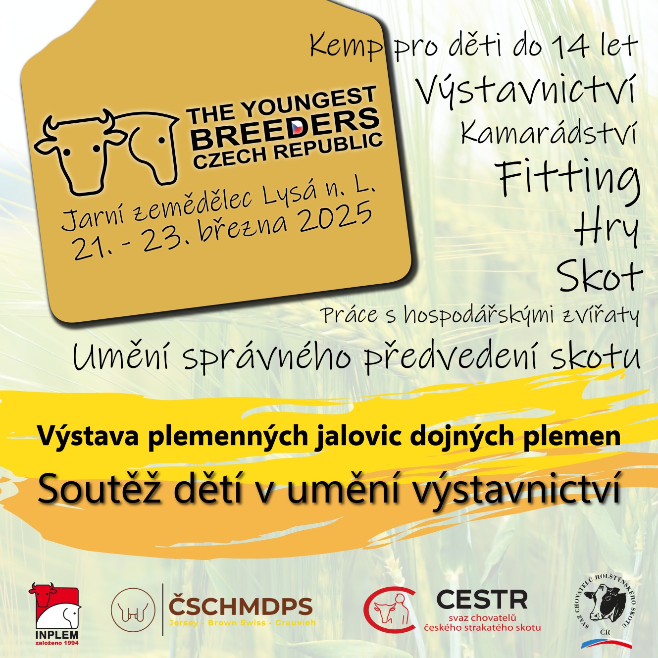 2025 pozvanka graficka LQ