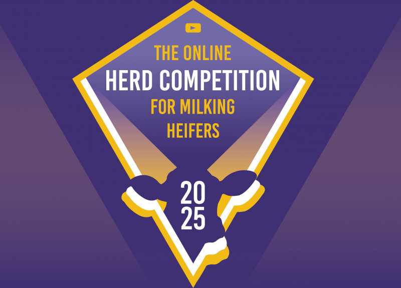 unique holstein event the very first international online herd competition