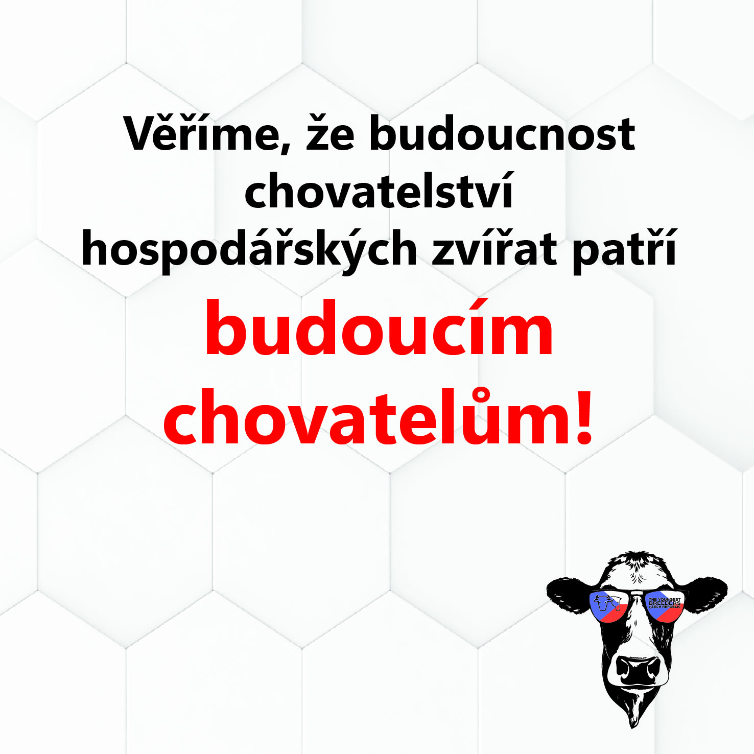 material platna ctvrerec socky5