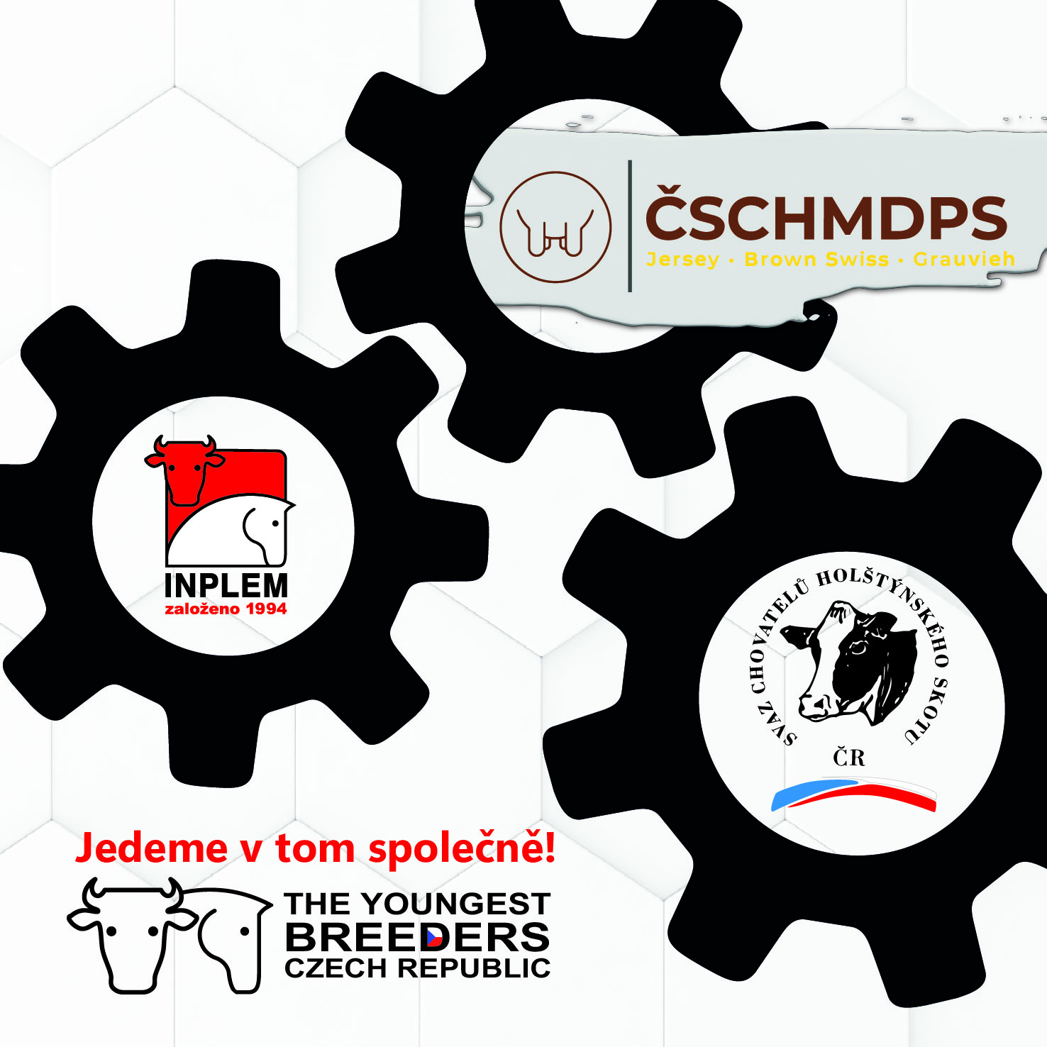 material platna ctvrerec socky7