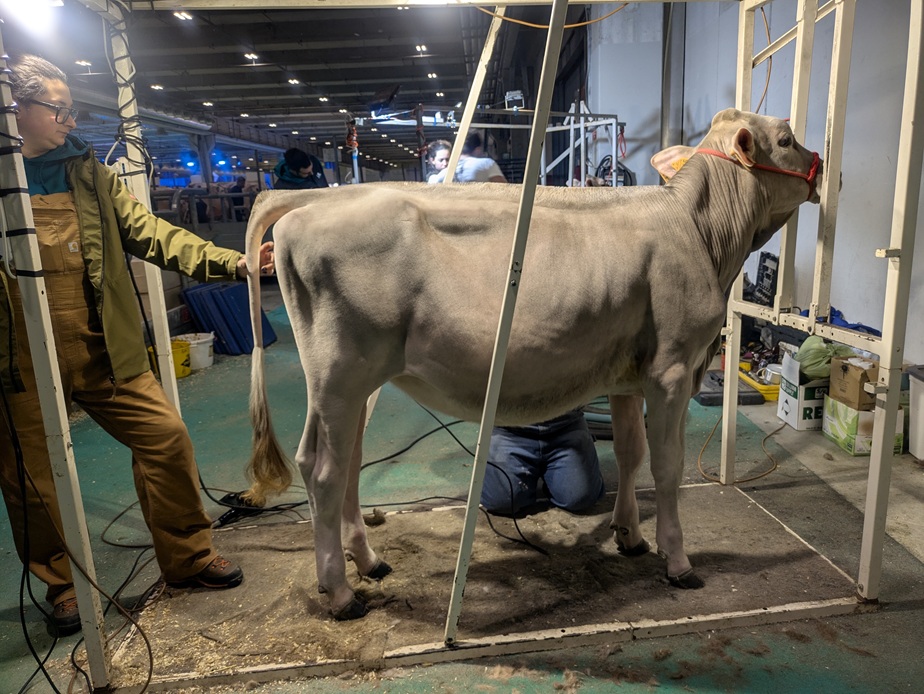 PXL 20260205 063207067