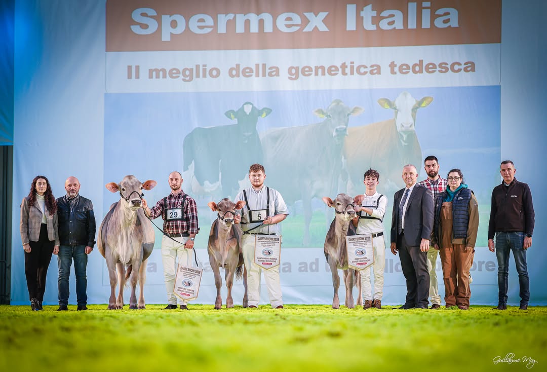 𝐕𝐞𝐫𝐨𝐧𝐚 𝐃𝐚𝐫𝐲 𝐒𝐡𝐨𝐰 𝟐𝟎𝟐𝟔𝐁𝐑𝐎𝐖𝐍 𝐒𝐖𝐈𝐒 𝐒𝐇𝐎𝐖️FINALE MAN