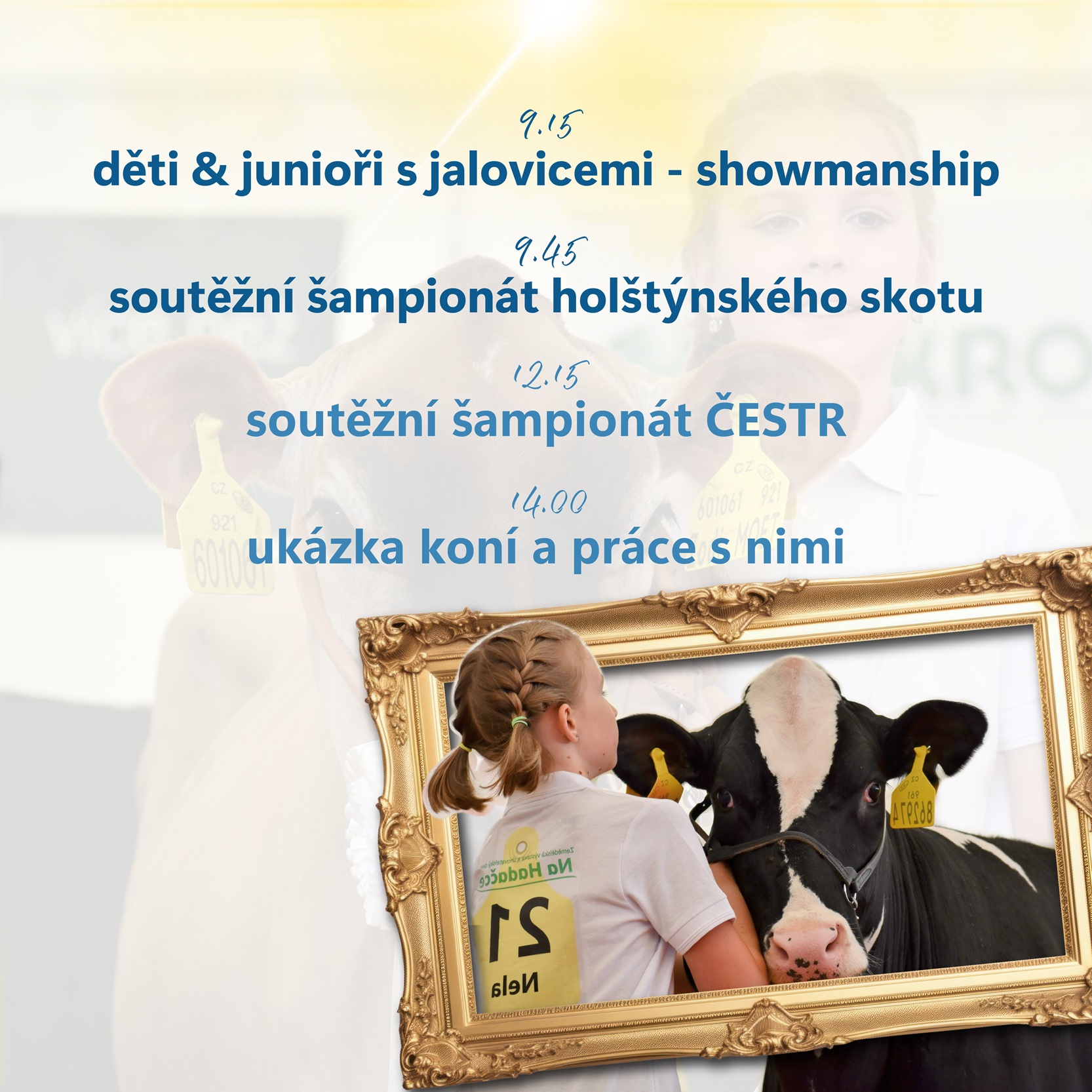 LQsocky ctverce kralovice 2026 03