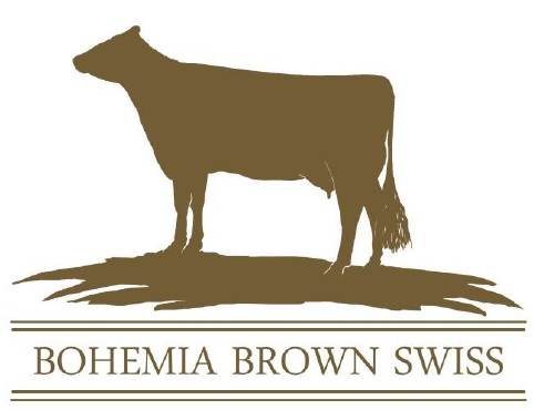 brown logo nizka kvalita
