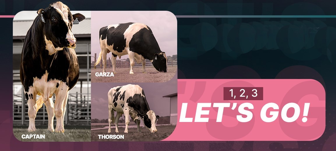 Website-banners-Gaptain-garza-thorson-V2-0204.jpg