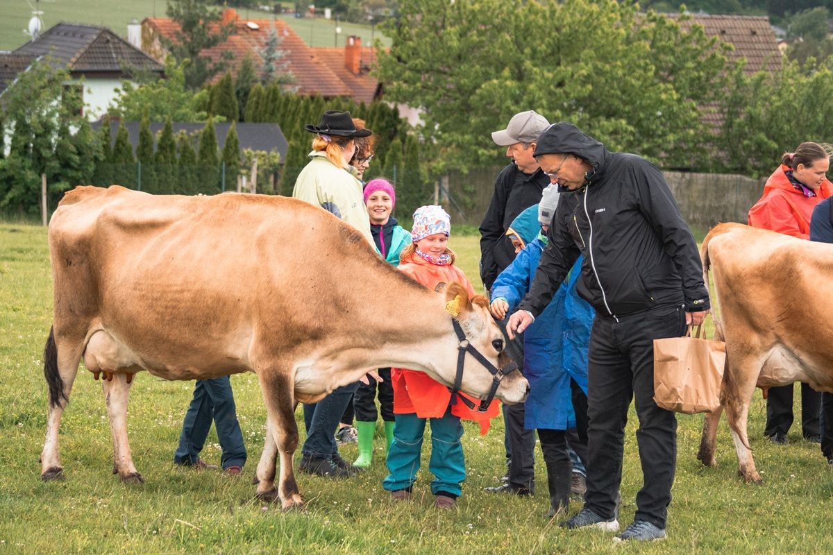 farmatehov04