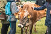 farmatehov02