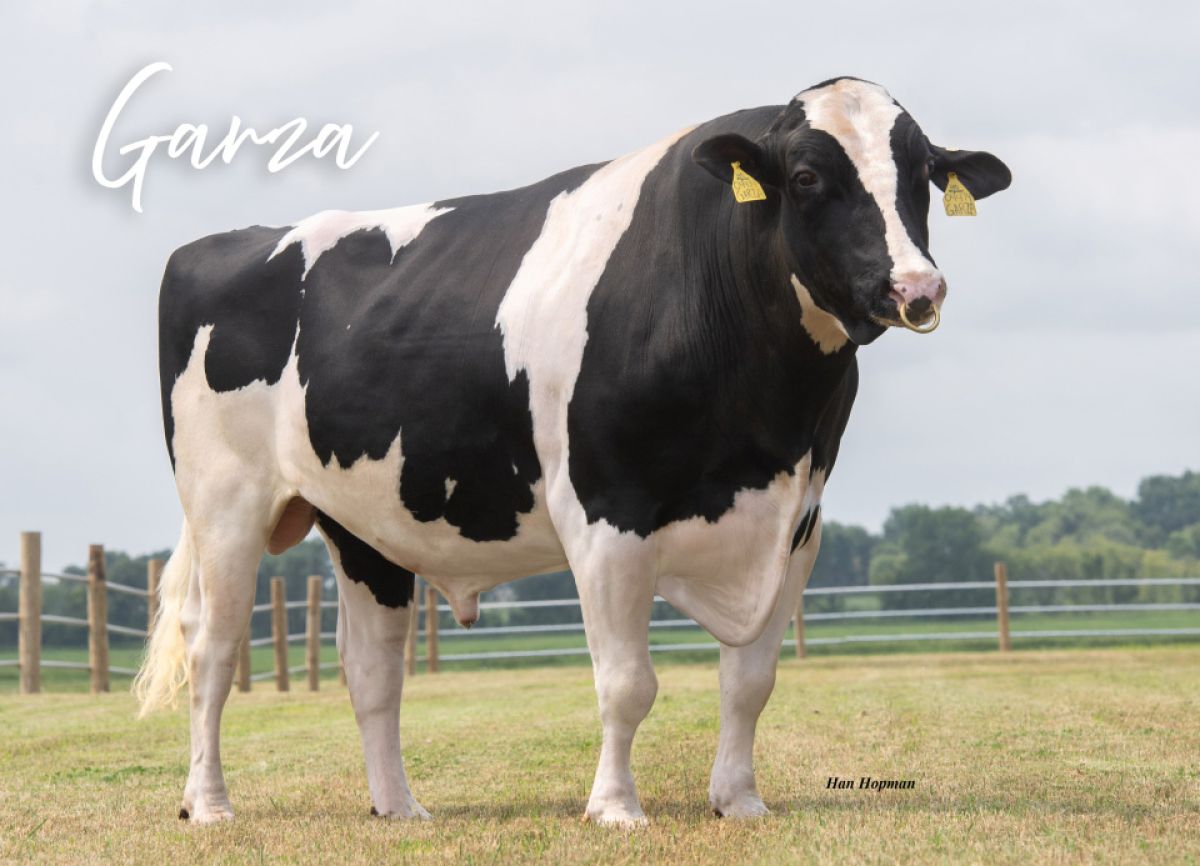 551HO04474-Bull-Garza-1
