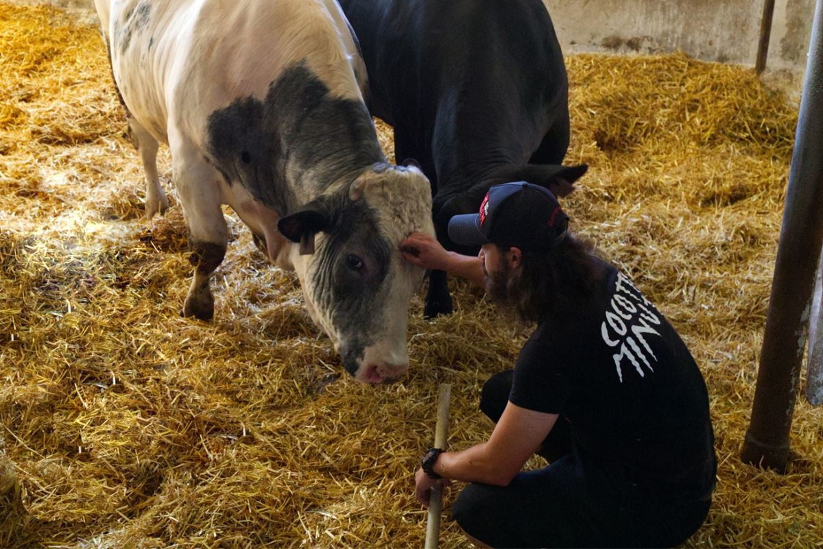 IMG3115-lq