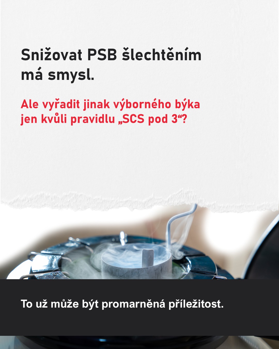Snmek5