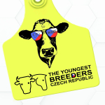 Ohlédnutí: vícedenní kemp pro ty nejmladší nadšence